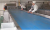 Manual Peeling Conveyor Line