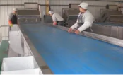 Manual Peeling Conveyor Line